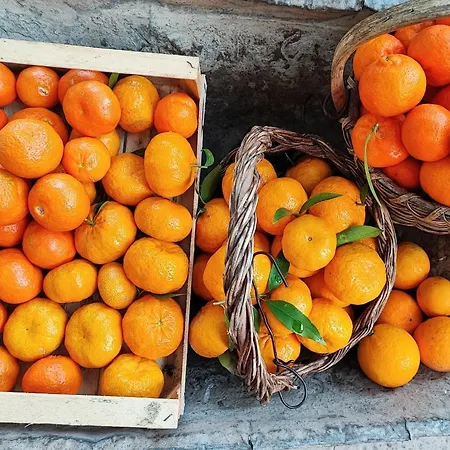 Bbuss Country Club * Catanzaro