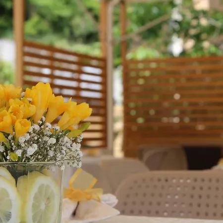 Landhaus Bbuss Country Club *