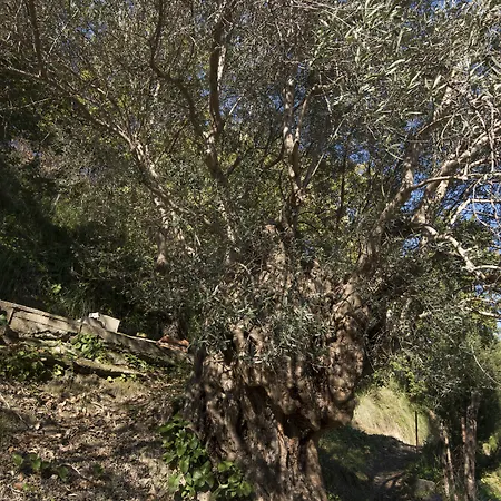 Bbuss Country Club * Catanzaro