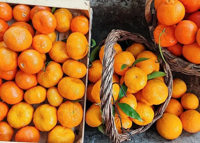 Bbuss Country Club * 卡坦扎罗