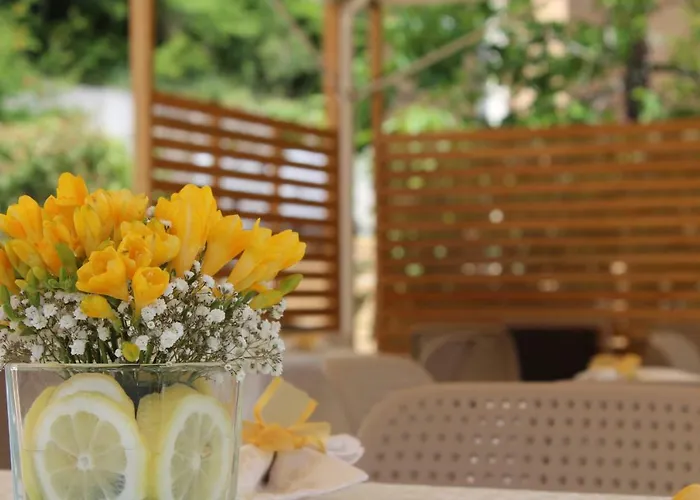 乡村民宿 Bbuss Country Club *